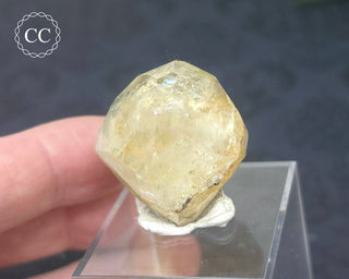 Topaz Crystal #1