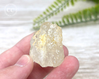 Topaz #8