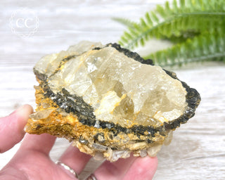Topaz with Biotite Mica #4