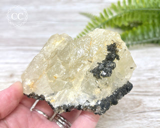 Topaz with Biotite Mica #6