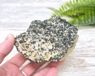 Topaz with Biotite Mica #6