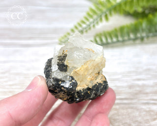 Topaz with Biotite Mica #7