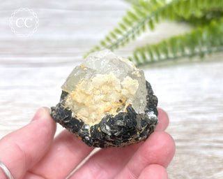 Topaz with Biotite Mica #7