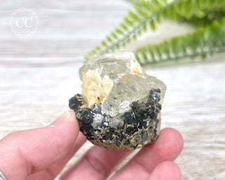 Topaz with Biotite Mica #7