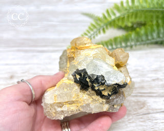 Topaz with Biotite Mica #5