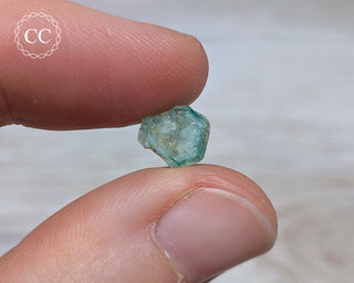 Emerald Crystal - Torrington #9