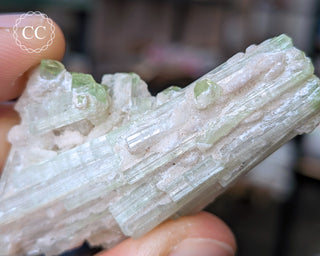 Pink Tourmaline Cluster #2