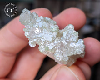 Pink Tourmaline Cluster #1