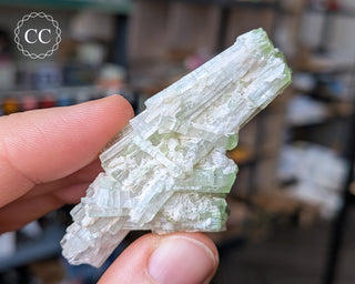 Pink Tourmaline Cluster #2