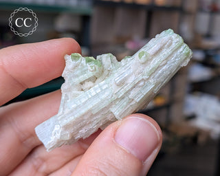 Pink Tourmaline Cluster #2