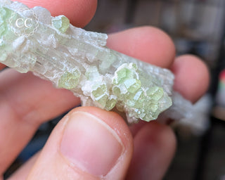 Pink Tourmaline Cluster #2