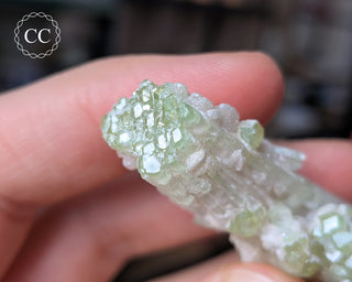 Pink Tourmaline Cluster #2