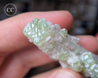 Pink Tourmaline Cluster #2