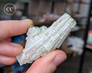 Pink Tourmaline Cluster #2