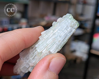 Pink Tourmaline Cluster #2