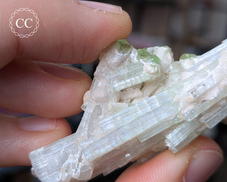 Pink Tourmaline Cluster #2