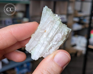 Pink Tourmaline Cluster #1