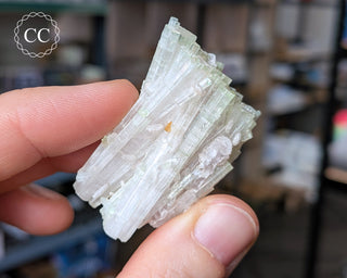 Pink Tourmaline Cluster #1