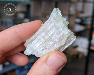 Pink Tourmaline Cluster #1