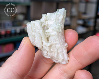 Pink Tourmaline Cluster #1