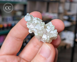 Pink Tourmaline Cluster #1