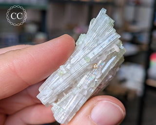 Pink Tourmaline Cluster #1