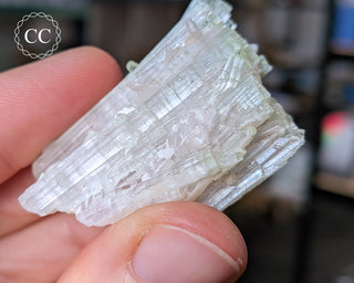 Pink Tourmaline Cluster #1