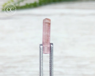 Pink Tourmaline Crystal #10