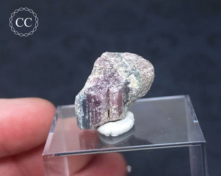 Tourmaline Crystal - Namibia #10