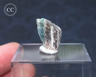 Tourmaline Crystal - Namibia #2