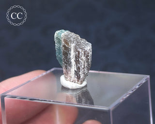 Tourmaline Crystal - Namibia #2