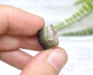 Bi Colour Tourmaline Crystal #1