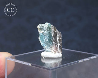 Tourmaline Crystal - Namibia #2