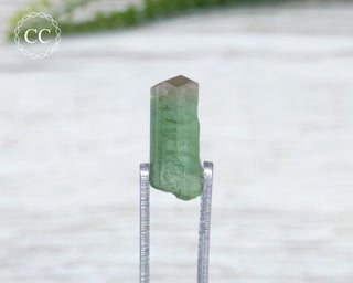 Green Tourmaline Crystal #14