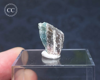 Tourmaline Crystal - Namibia #2