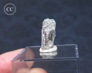 Tourmaline Crystal - Namibia #2