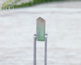 Bi Colour Green Tourmaline Crystal #15