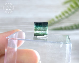 Bi Colour Tourmaline Crystal #3