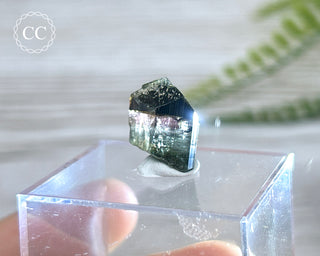 Bi Colour Tourmaline Crystal #4