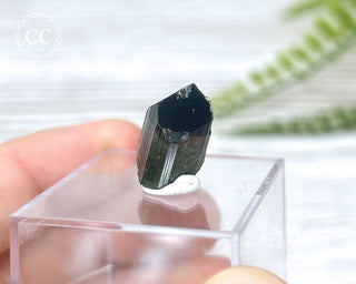 Bi Colour Tourmaline Crystal #4