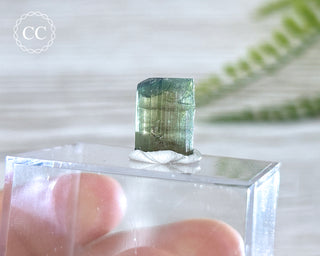 Bi Colour Tourmaline Crystal #5