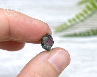 Bi Colour Tourmaline Crystal #5