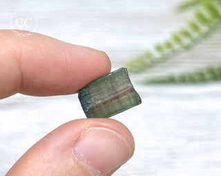 Bi Colour Tourmaline Crystal #5