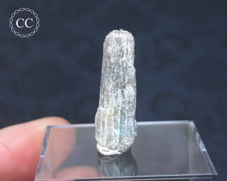 Tourmaline Crystal - Namibia #6