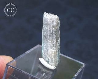 Tourmaline Crystal - Namibia #6