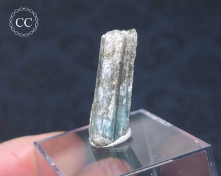 Tourmaline Crystal - Namibia #6