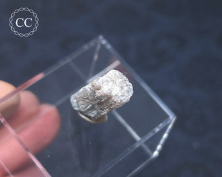 Tourmaline Crystal - Namibia #6