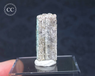 Tourmaline Crystal - Namibia #8