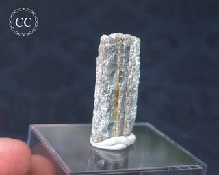 Tourmaline Crystal - Namibia #8