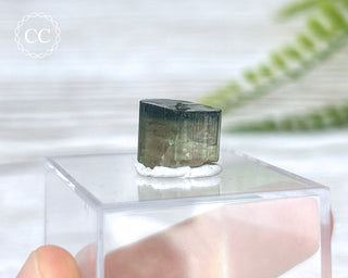 Bi Colour Tourmaline Crystal #1